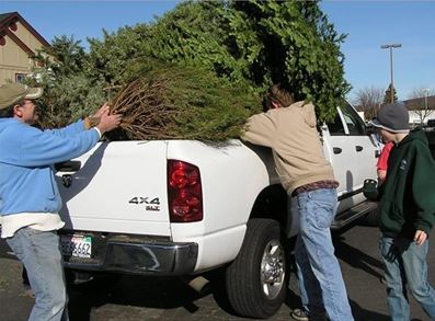 Chico Boy Scouts Christmas Trees 2021